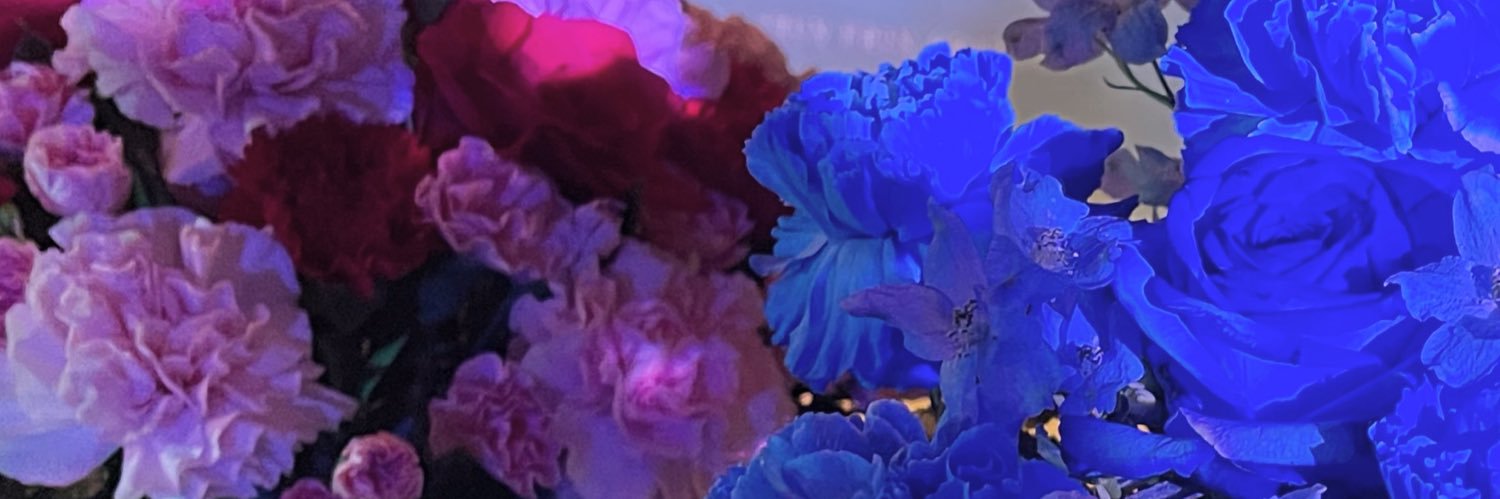 nekoaki's profile banner image