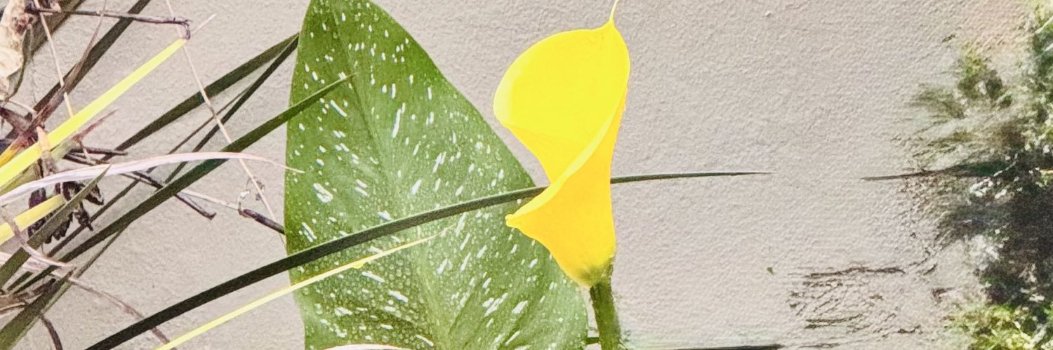 paletheflower's profile banner image