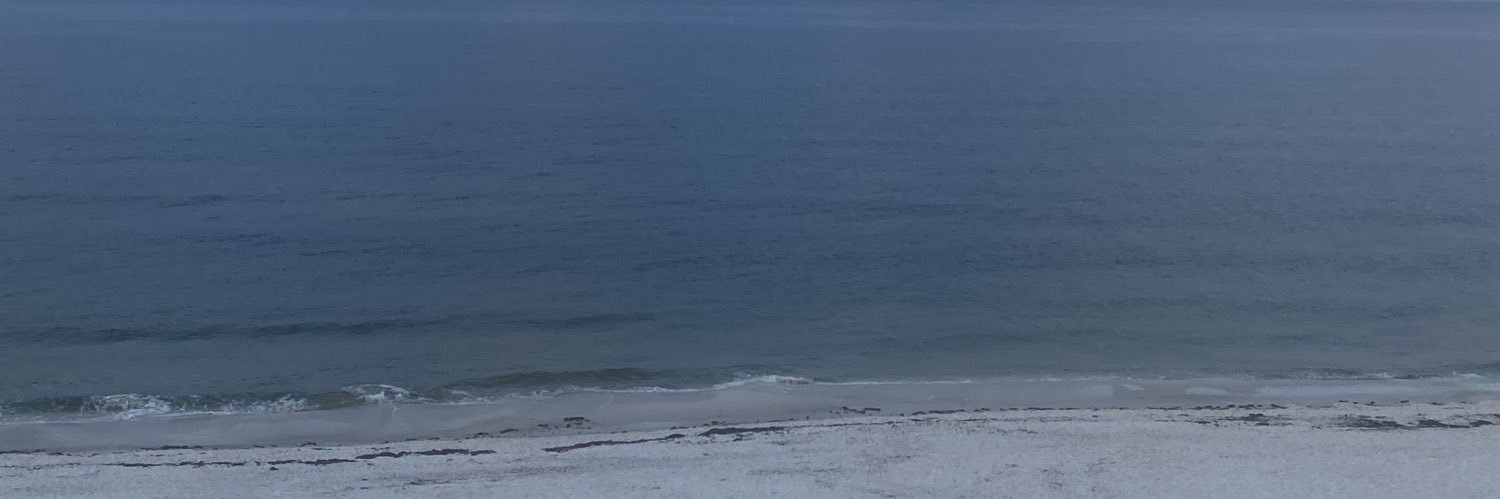 TadHartz's profile banner image