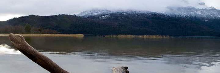 nadiaapa's profile banner image