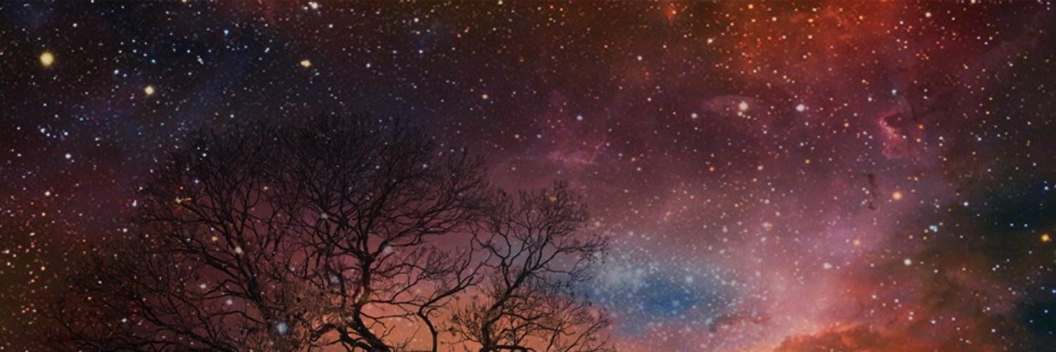 adriana barros banner