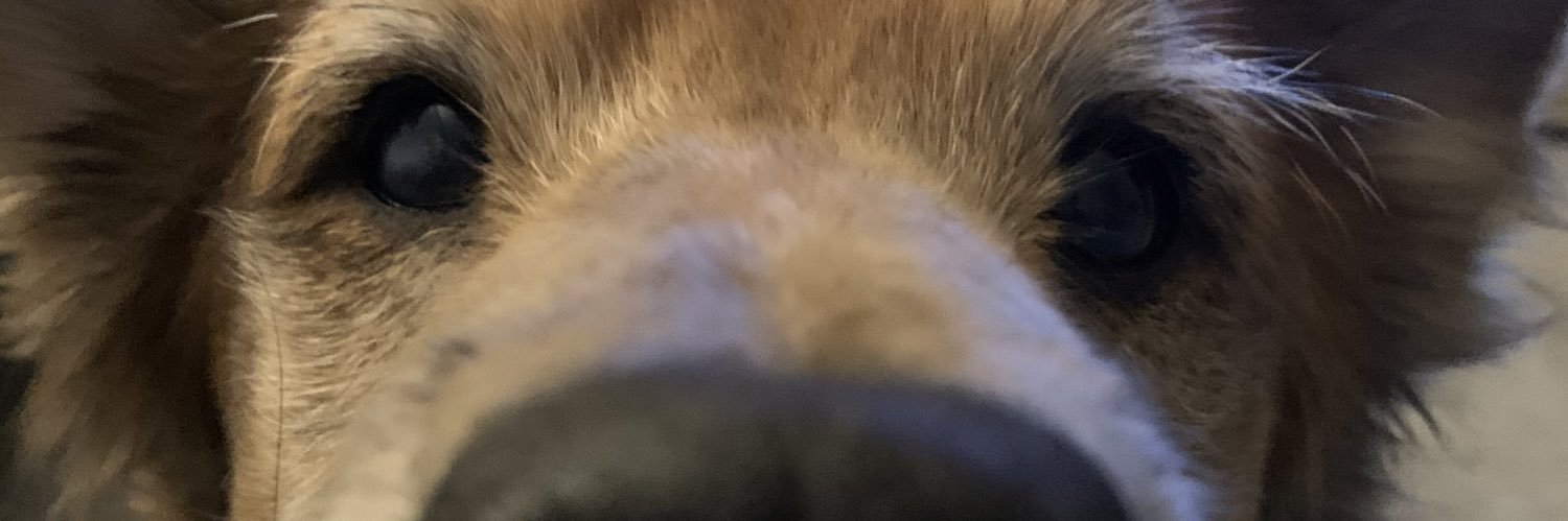 victorialking_'s profile banner image