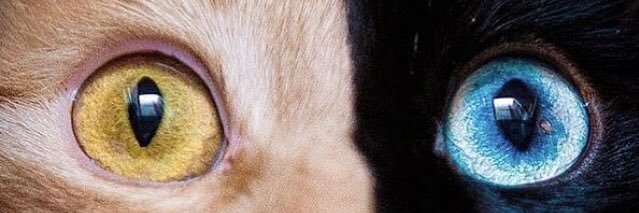 ardanKatab's profile banner image