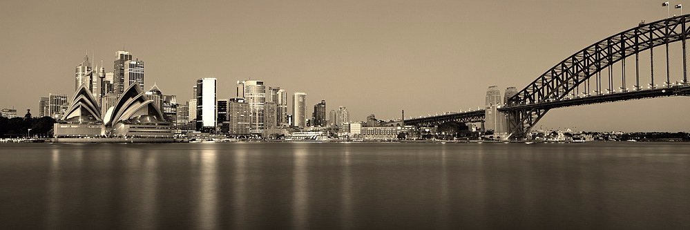 P_Taniane's profile banner image