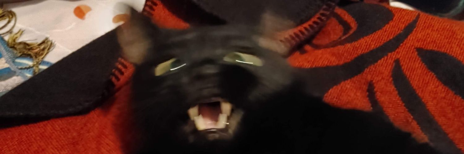 ticktocktoxic's profile banner image