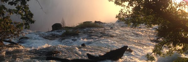 FabienneMorgaut Profile Banner