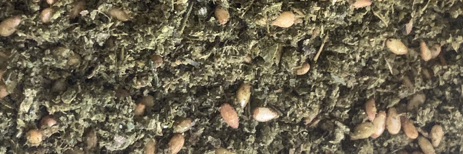 עמוס קליפסו banner