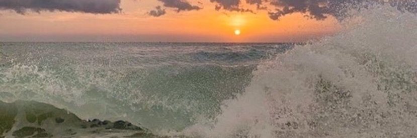 ______JED's profile banner image