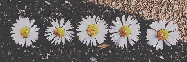 vicbieg's profile banner image
