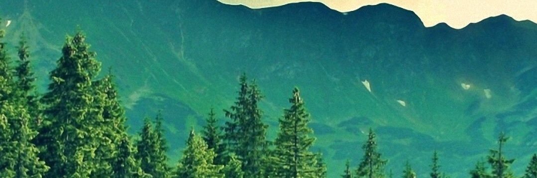 casey👆🏼 banner