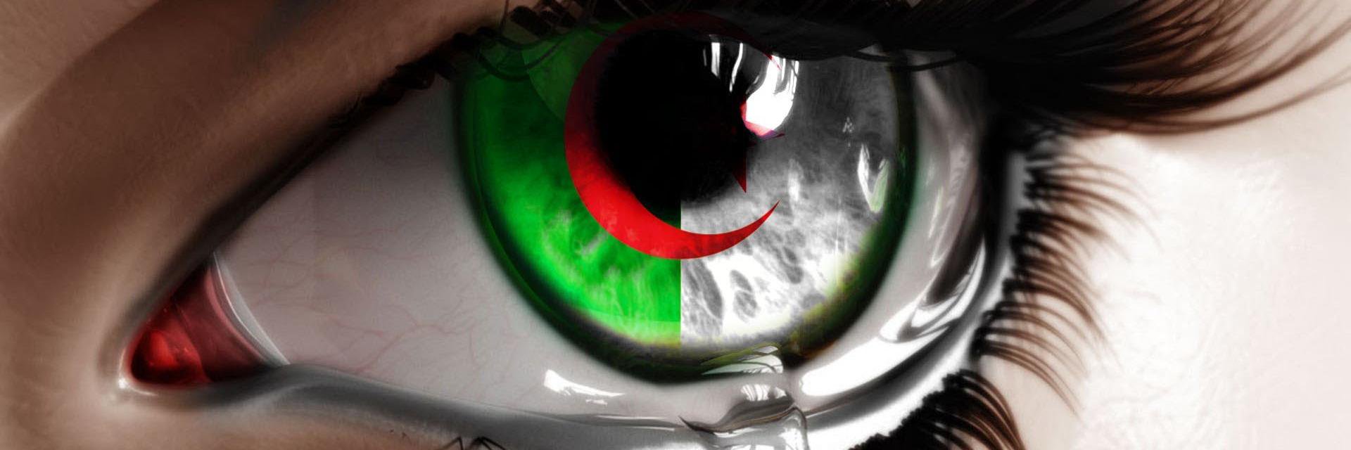 laibisaad's profile banner image