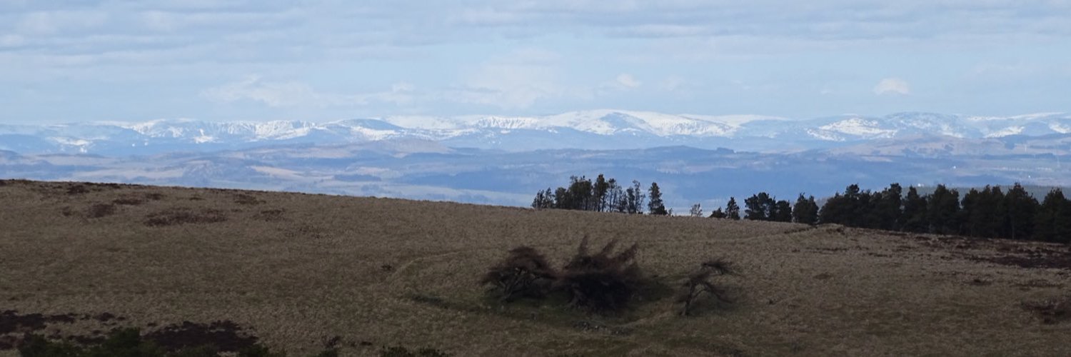 Dr Gwenllian Williams Profile Banner