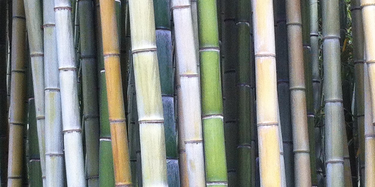MorenoGala's profile banner image