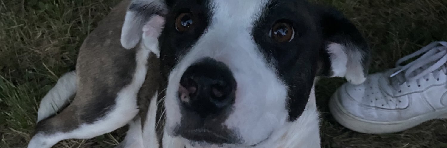 ReannaYork's profile banner image
