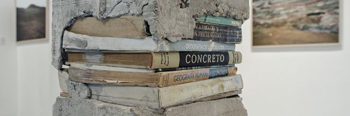 Lucila_Orzuza's profile banner image