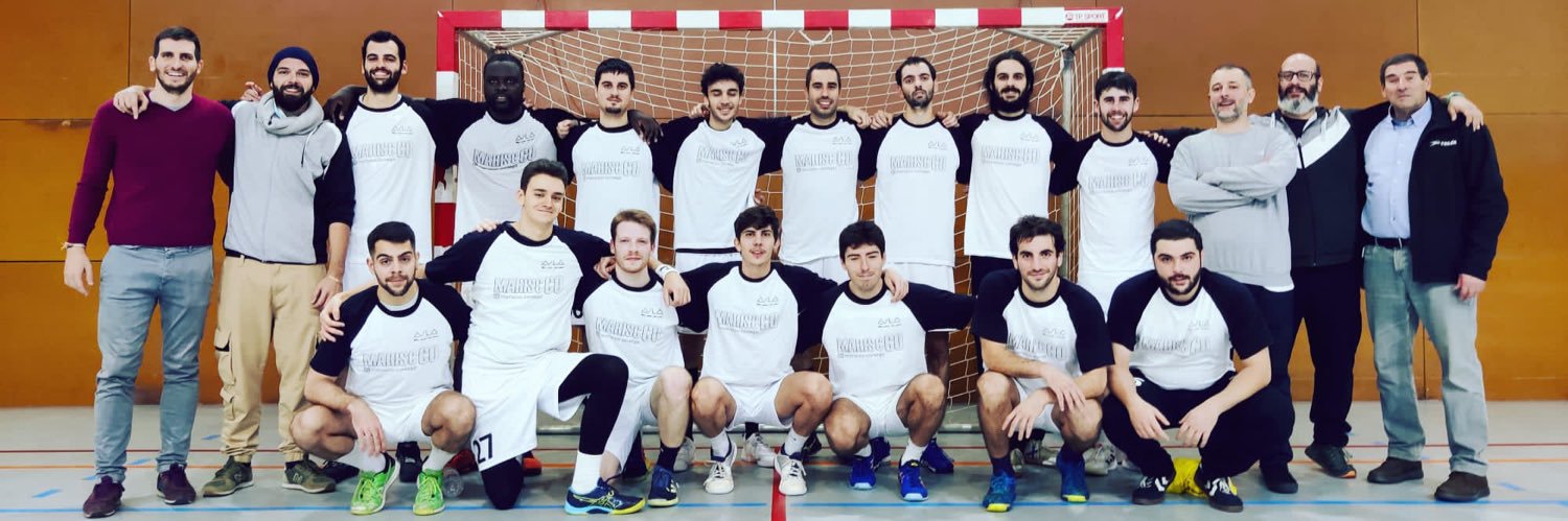 AE AULA Handbol banner