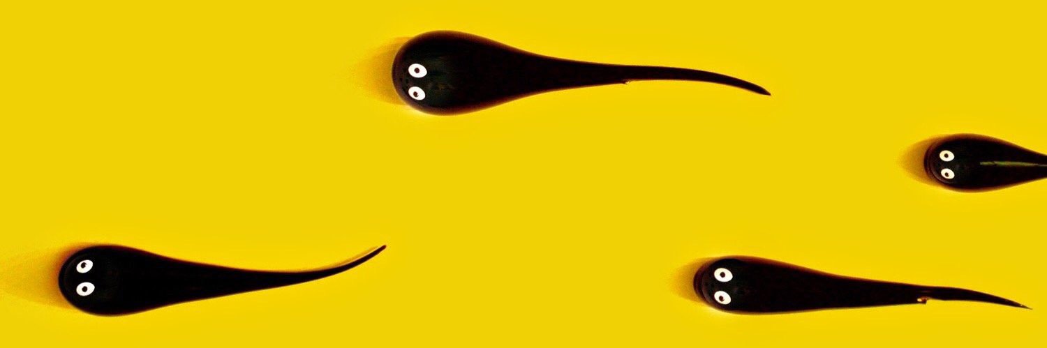 徐想钱 banner
