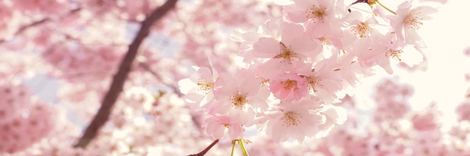 Alize-Lovemyproxy 🌺🎶🇺🇸🇹🇴🪔☔️ banner