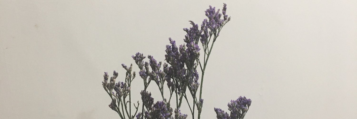 violetdisaster's profile banner image