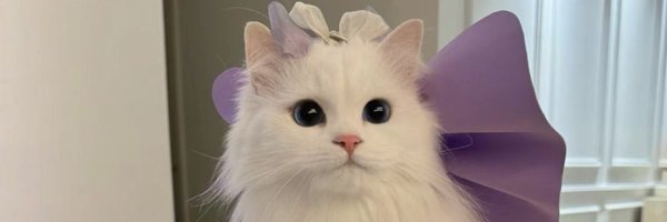 mQ0gY4's profile banner image