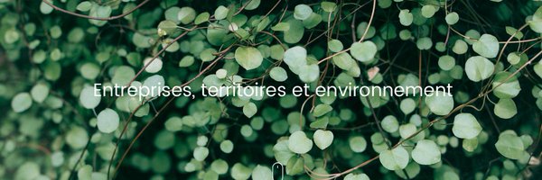 assoOREE Profile Banner