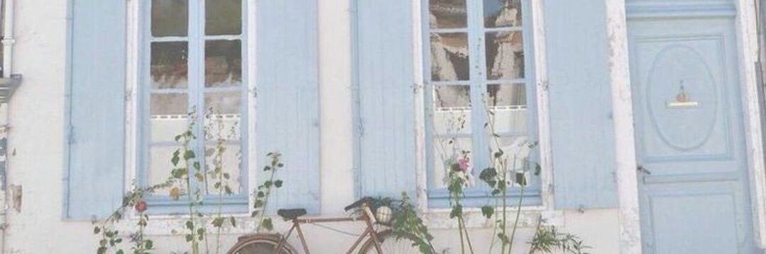 mads . ݁₊ 𓆉 . ݁𓇼˖ . ݁'s banner