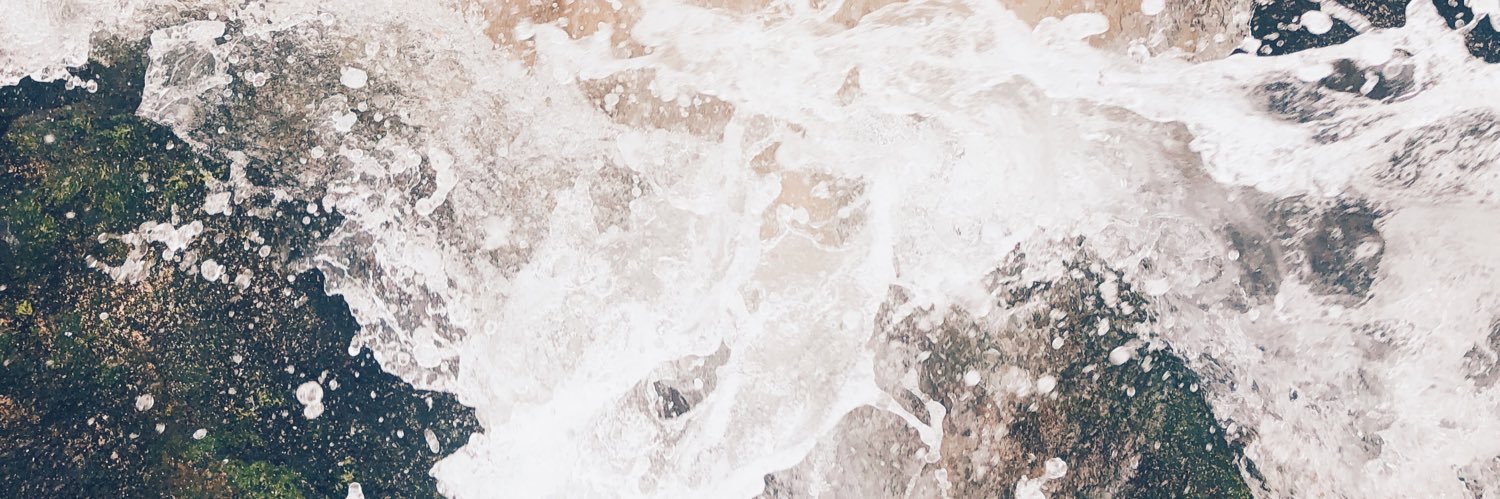 Steph banner