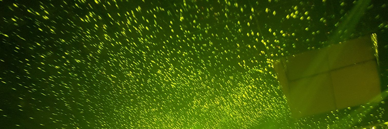 S_W_R_L's profile banner image