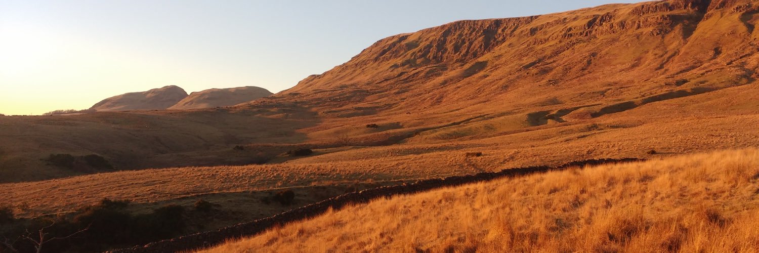 Grant MacDonald banner