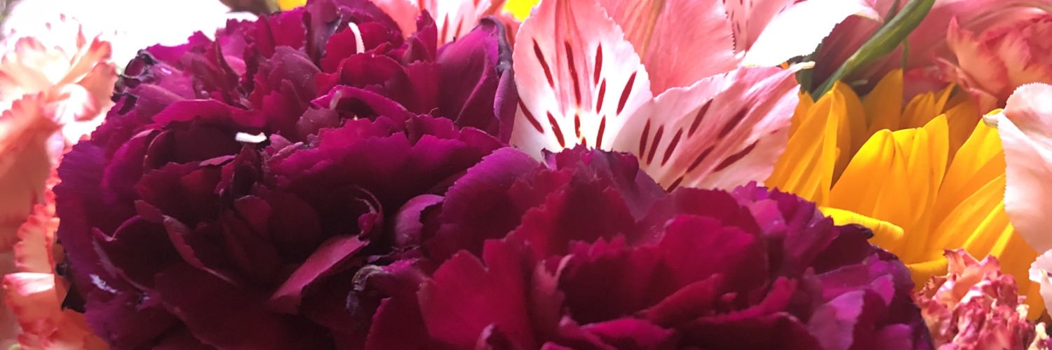 AmaSinTwiter's profile banner image