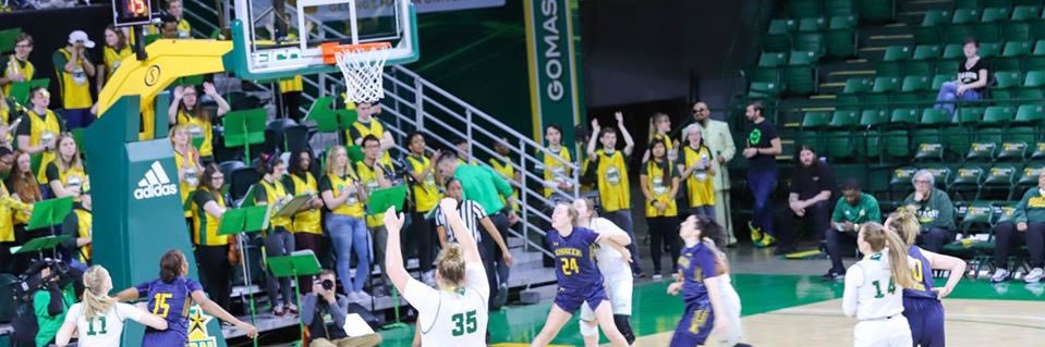 Allie McCool banner