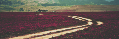 RuggeroPMyWorld's profile banner image