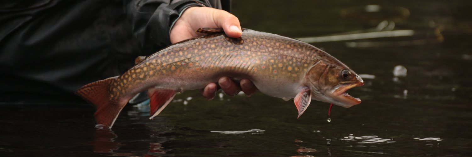 flyfishmuseum's profile banner image