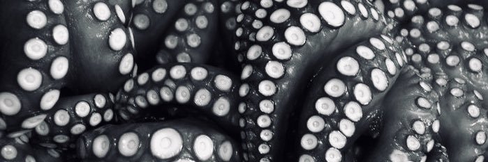 Marius Holstad 🐙 banner