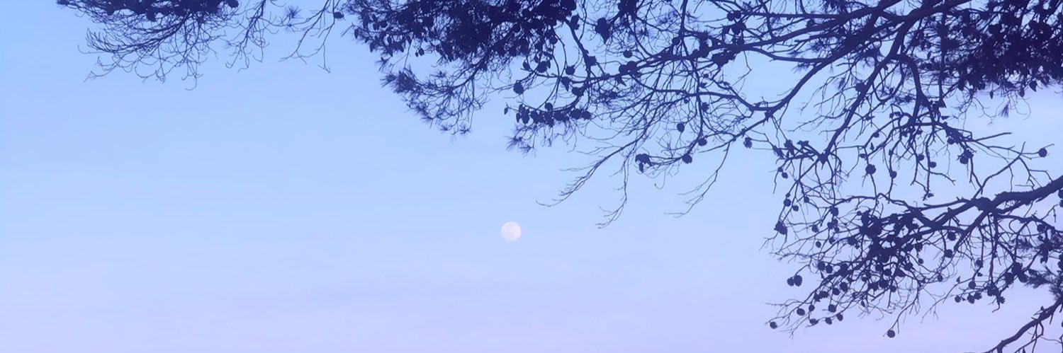 cxrnett's profile banner image