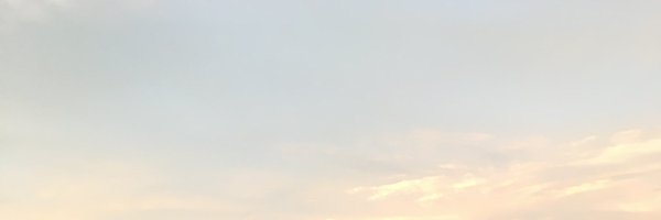 vincentwilson37 Profile Banner