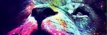 diego_chaires's profile banner image