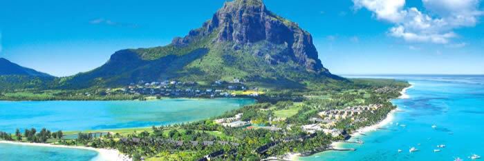 lone survivor banner