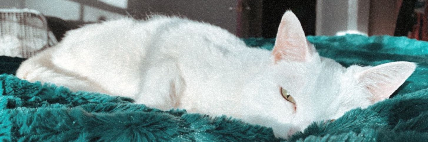 shaelyntaylor_'s profile banner image