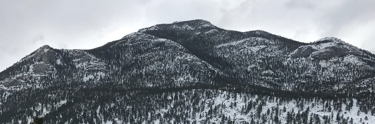 Bjorn_Walker's profile banner image