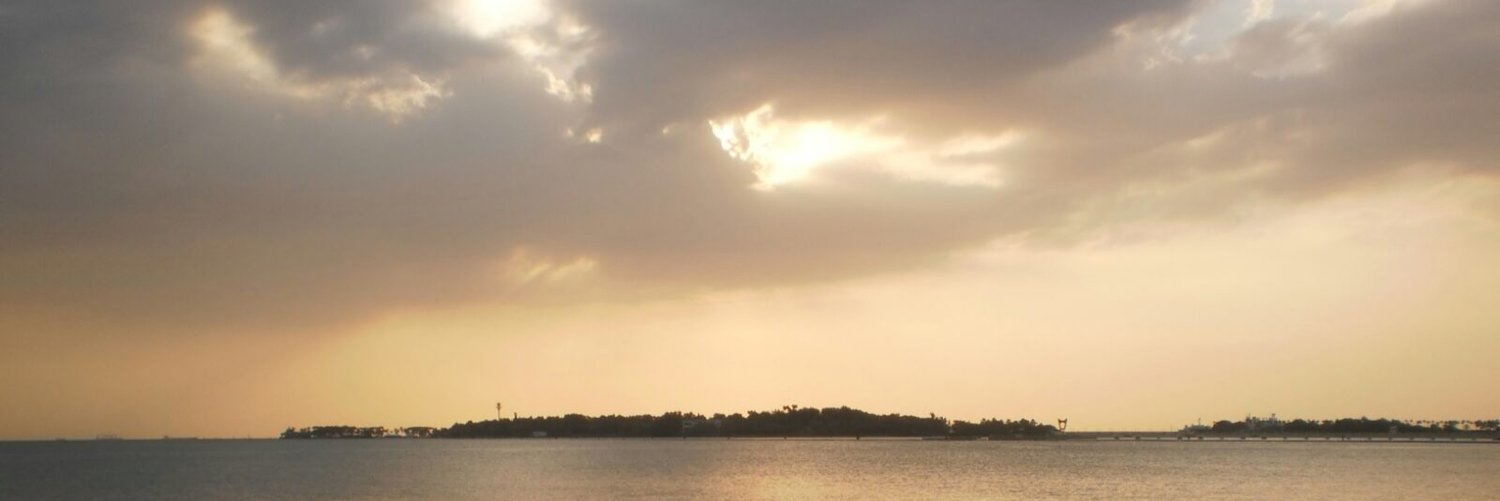 shatha alomar banner