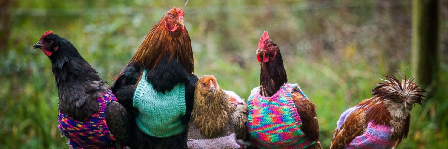 immigrant emo punk banner