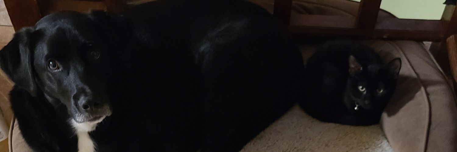 _Jellyy_'s profile banner image