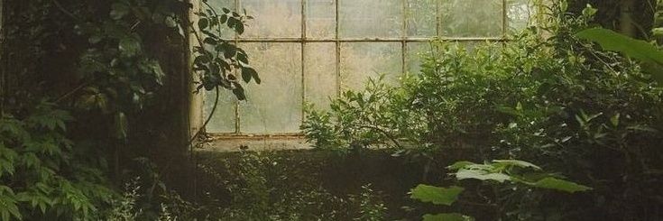 N banner
