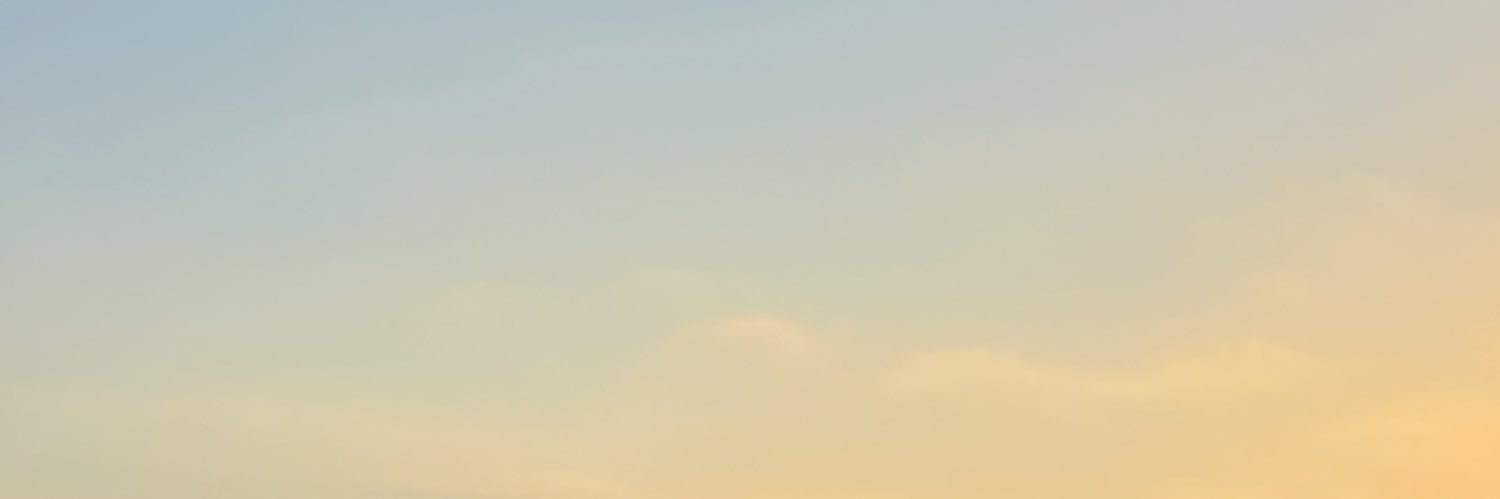 sofiejimenez's profile banner image