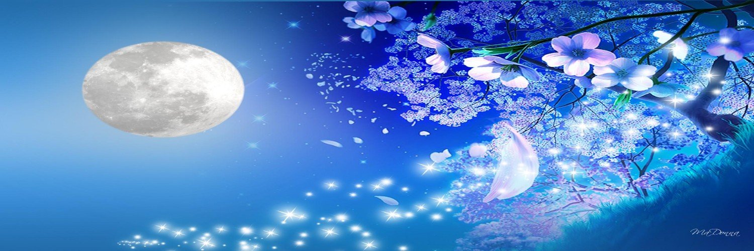 LazuliJustice's profile banner image