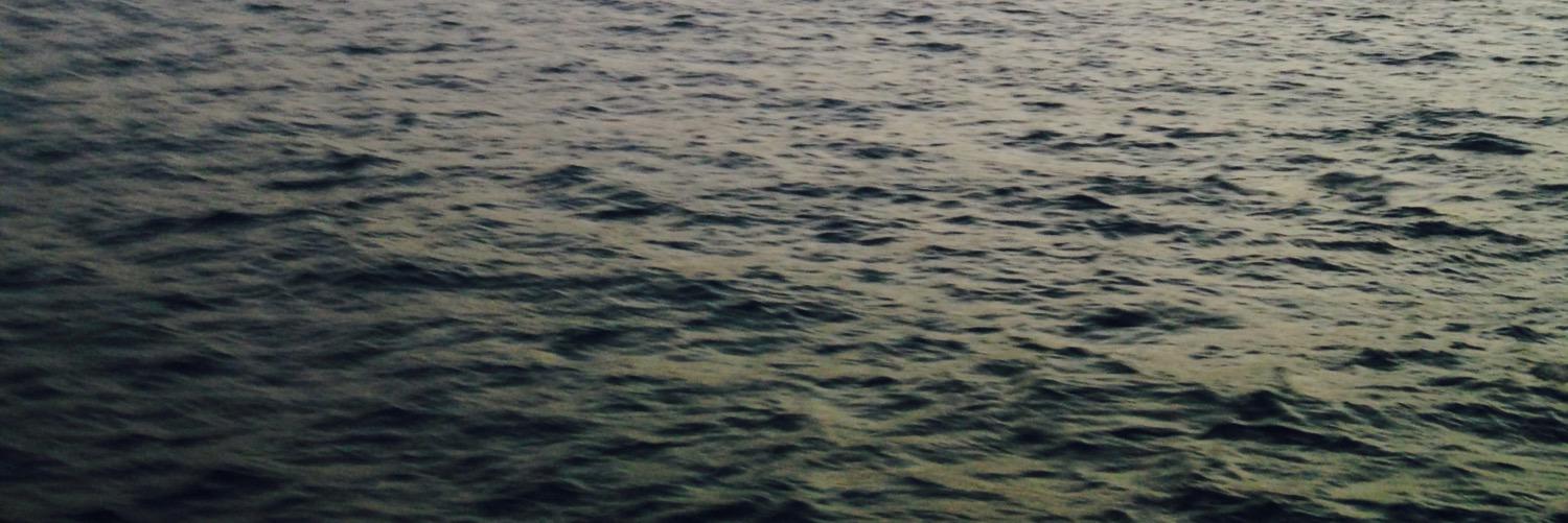 umaird's profile banner image