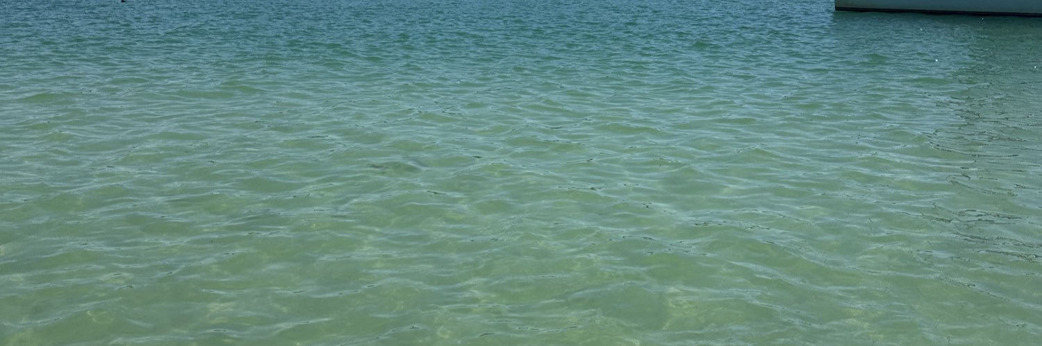 laneyraay's profile banner image