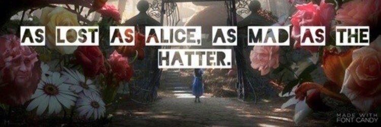 alison8003's profile banner image