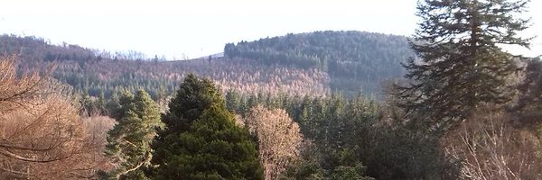 rmloader Profile Banner
